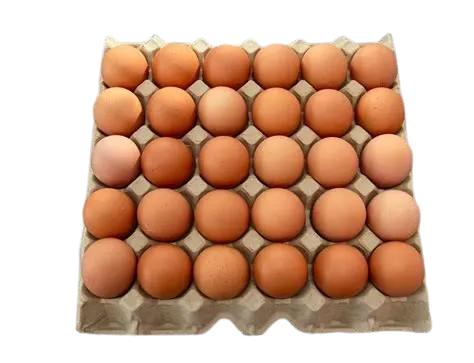 Farm Fresh Eggs